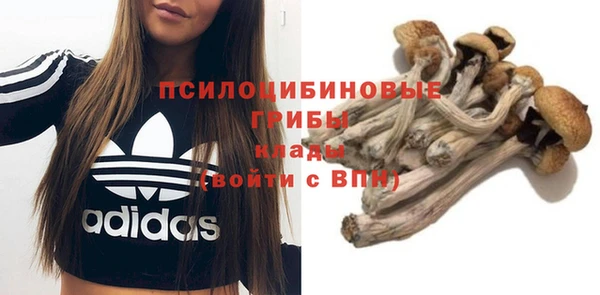 ALPHA PVP Алексин