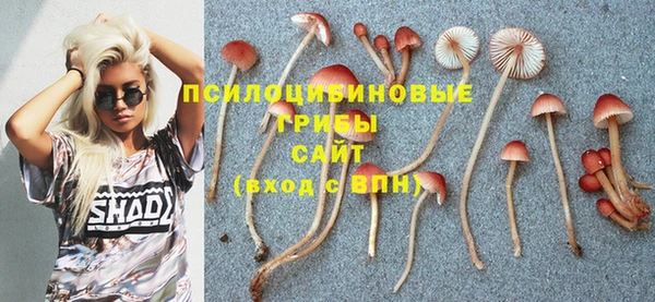 Альфа ПВП Алзамай